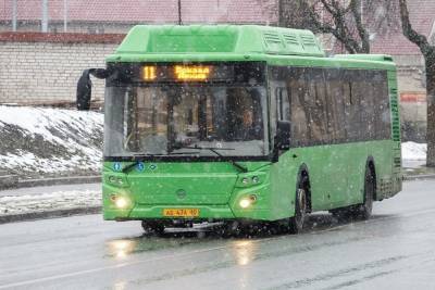 Именные карты для проезда в псковских автобусах получат дети-инвалиды