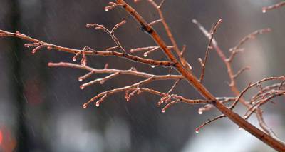 Дожди и сильный ветер: к концу недели в Латвии ожидается похолодание
