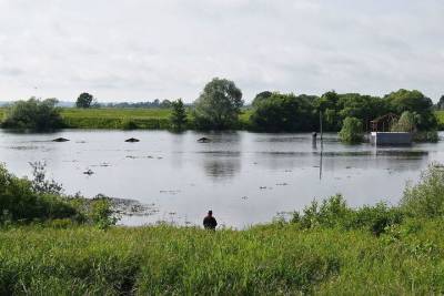 На расчистку 3 км русла реки Солотча в Рязани выделили 125 млн рублей