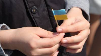 Украинская учительница залезла на парту с целью рассказать детям о Майдане
