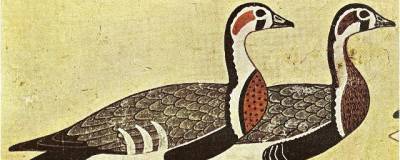 На египетской фреске в гробнице Нофермаата изображен вымерший вид гусей