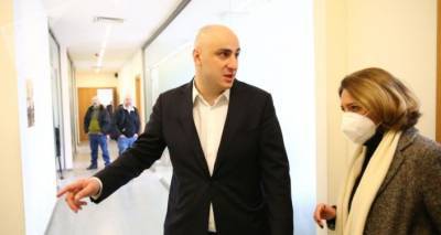 Ассоциация молодых юристов Грузии критикует власти за арест Мелия