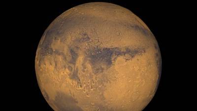 Микробы выдержали марсианские условия и пообедали настоящим грунтом с Марса