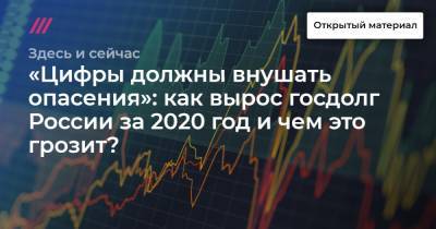 «Цифры должны внушать опасения»: как вырос госдолг России за 2020 год и чем это грозит?