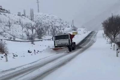 Конезавод в горах Дагестана остался без корма после метели