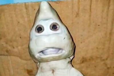 В беременной акуле нашли детеныша-мутанта с «человеческим лицом»