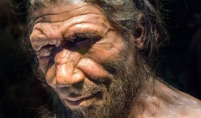 Ученые нашли гены от неандертальцев, которые облегчают течение ковид