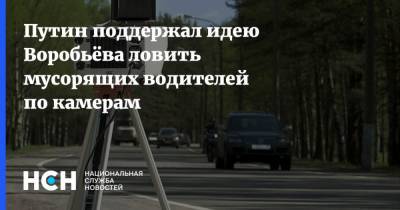 Путин поддержал идею Воробьёва ловить мусорящих водителей по камерам