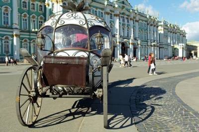 В Петербурге могут выделить места для катания на лошадях и каретах