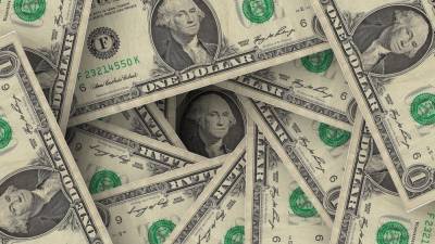 В МИД РФ выступили за сокращение зависимости от "ядовитого" доллара