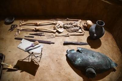 Волгоградские археологи обнаружили стоянку древних людей на берегу Дона