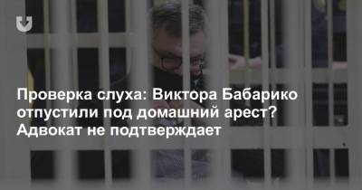 Проверка слуха: Виктора Бабарико отпустили под домашний арест? Адвокат не подтверждает