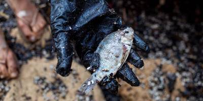 Из-за загрязнения минздрав запретил продажу рыбы из Средиземного моря