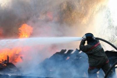 В Плесецком районе при пожаре погибли две женщины