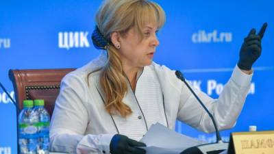 Памфилова назвала причиной ликвидации партий в России "естественный отбор"