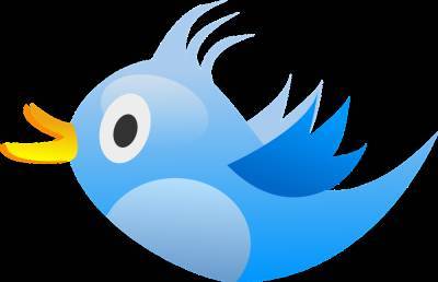 Роскомнадзор рассмотрит законность блокировки 100 аккаунтов в Twitter