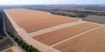 Более 40% сельхозземель в Украине могут потерять плодородие – исследование НАН