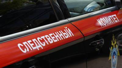Подростка заподозрили в убийстве девушки-инвалида в Нижегородской области