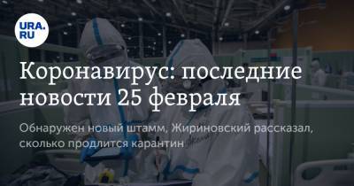 Коронавирус: последние новости 25 февраля. Обнаружен новый штамм, Жириновский рассказал, сколько продлится карантин