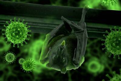 Ученые сообщили об опасном вирусе, распространяемом летучими мышами