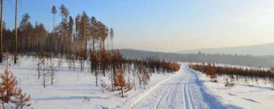 Ученые обнаружили в Сибири древнейший в мире случай чумы