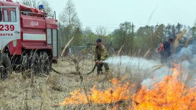 Госдума планирует повысить штрафы за лесные пожары в 10 раз