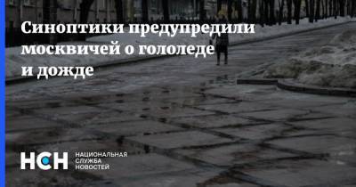 Синоптики предупредили москвичей о гололеде и дожде