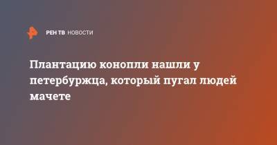 Плантацию конопли нашли у петербуржца, который пугал людей мачете