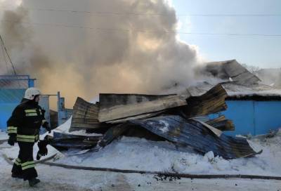 Два ребёнка погибли во время пожара в Новосибирской области