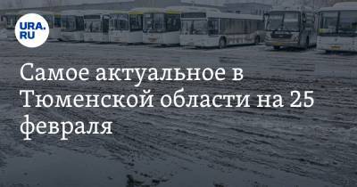 Самое актуальное в Тюменской области на 25 февраля. Автобусное сообщение ограничено, полицейских арестовали по сфабрикованному делу