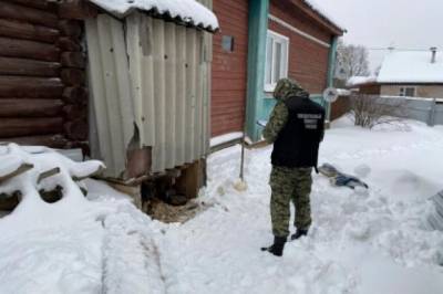 Под Новгородом на территории частного дома нашли тело младенца