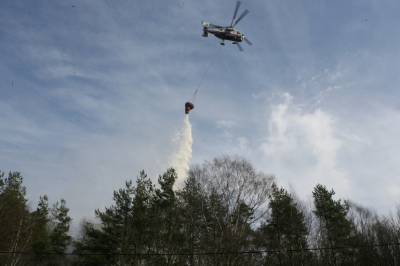 Штрафы за нарушение правил пожарной безопасности в лесах хотят повысить в России