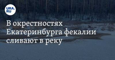 В окрестностях Екатеринбурга фекалии сливают в реку. Фото, видео