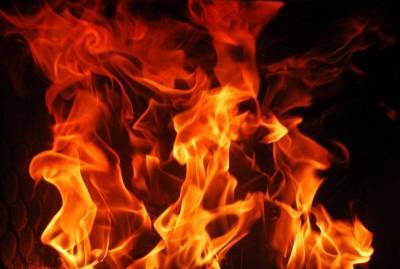 Два человека погибли при пожаре в частном доме в Гатчинском районе