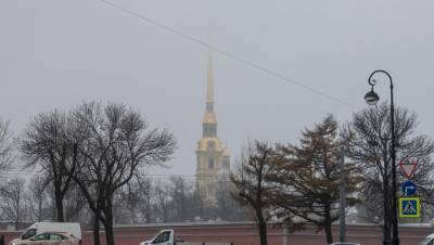 В МЧС предупредили о сильном тумане в Петербурге