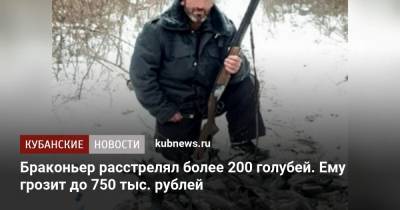 Браконьер расстрелял более 200 голубей. Ему грозит штраф до 750 тыс. рублей