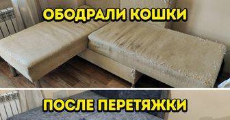 17 человек, которые вместо банальной поездки в IKEA создают крутую мебель своими руками