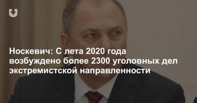 Носкевич: С лета 2020 года возбуждено более 2300 уголовных дел экстремистской направленности