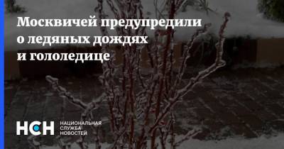 Москвичей предупредили о ледяных дождях и гололедице