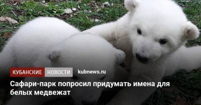Сафари-парк попросил придумать имена для белых медвежат