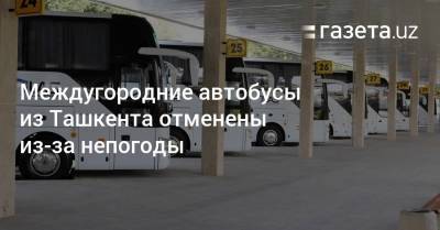Междугородние автобусы из Ташкента отменены из-за непогоды