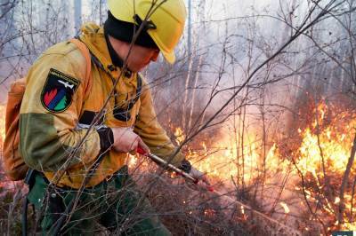 В Госдуме предложили в десять раз увеличить штрафы за лесные пожары