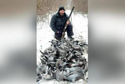 На Кубани мужчина убил около двух сотен голубей