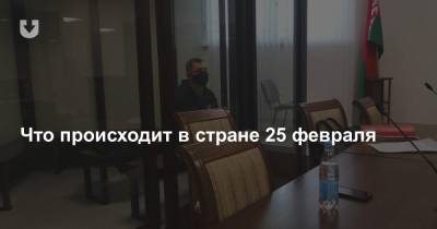Голосование на сайте ВНС и обвинительный приговор Шутову. Что происходит в стране 25 февраля