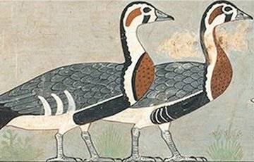 Ученые обнаружили на рисунке из древнеегипетского захоронения обнаружили неизвестную ранее птицу