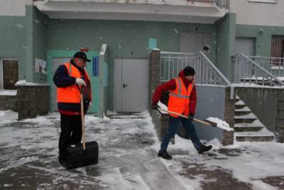 Жилищный комитет возьмет на особый контроль уборку в центре Петербурга