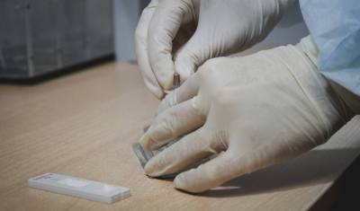 В регионах «тюменской матрешки» 251 человек заболел коронавирусом за сутки