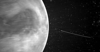 Солнечный зонд NASA впервые сфотографировал нагорье Венеры (фото)