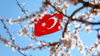 Турция продлила ПЦР-тестирование для туристов до конца марта