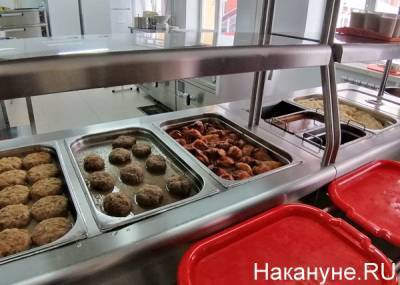 На горячее питание свердловских школьников направят 100 млн рублей